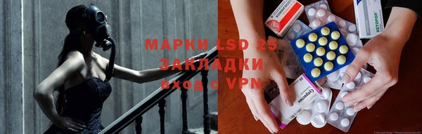 ГАЛЛЮЦИНОГЕННЫЕ ГРИБЫ Абаза