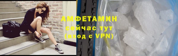 ГАЛЛЮЦИНОГЕННЫЕ ГРИБЫ Абаза
