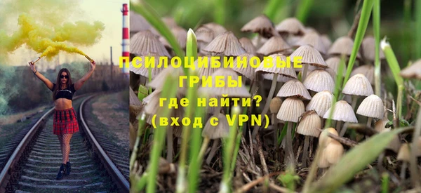 ГАЛЛЮЦИНОГЕННЫЕ ГРИБЫ Абаза