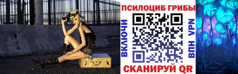 blacksprut   Калининград  Галлюциногенные грибы Magic Shrooms  купить наркотики сайты 